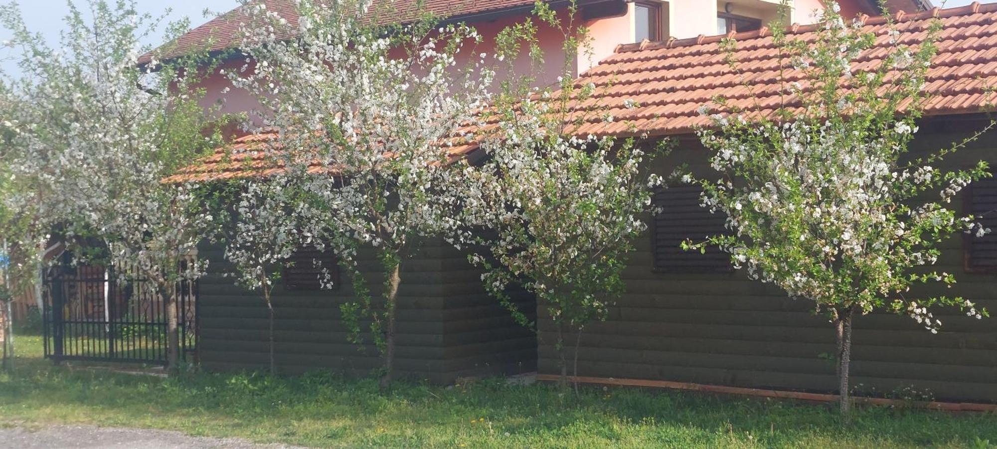 Kod Ane Apartment Belavici Bagian luar foto