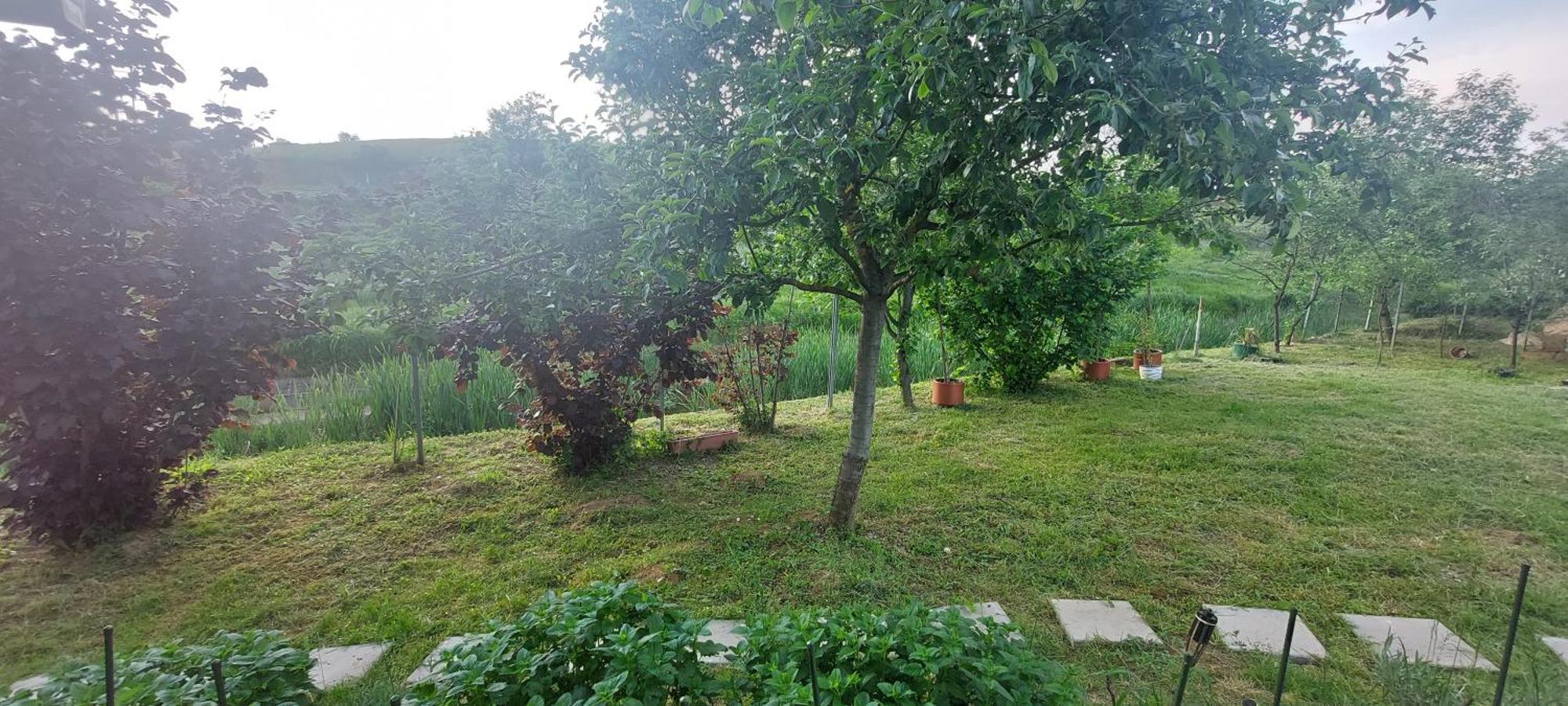 Kod Ane Apartment Belavici Bagian luar foto