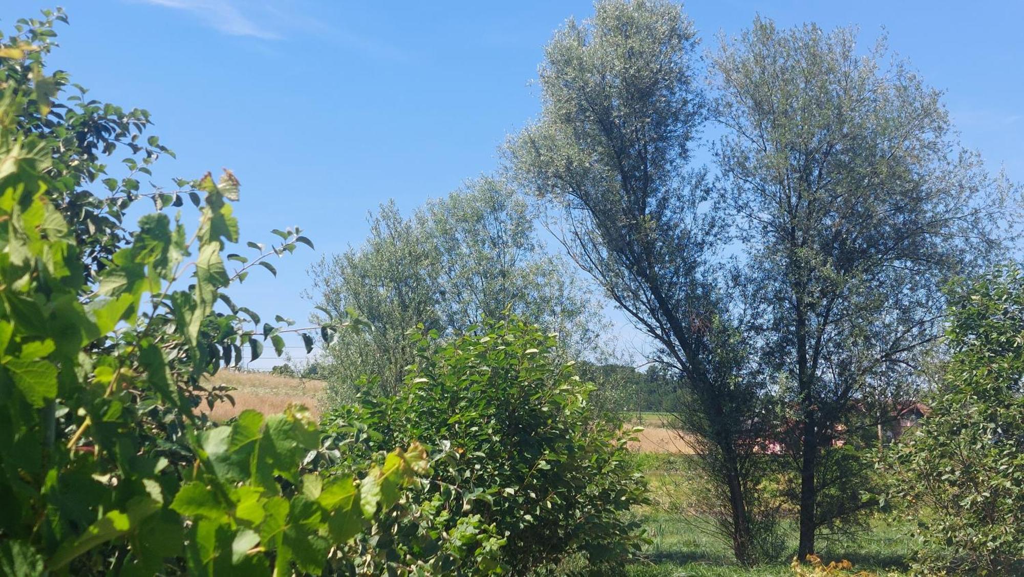 Kod Ane Apartment Belavici Bagian luar foto