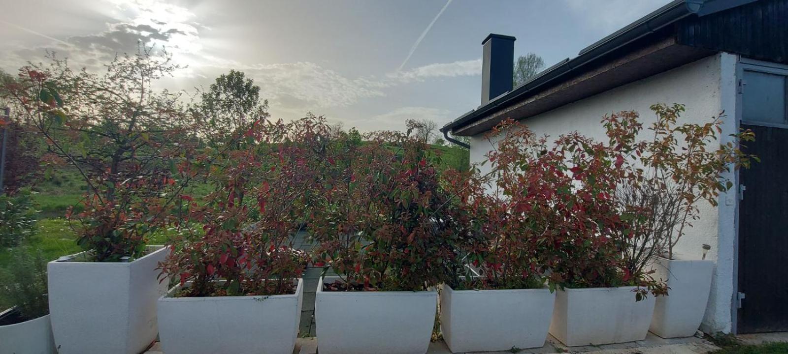 Kod Ane Apartment Belavici Bagian luar foto